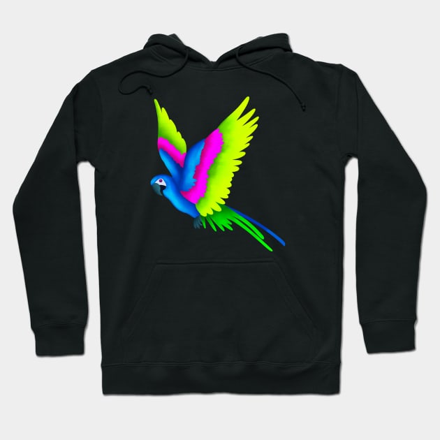 Colorful Parrot Hoodie by Kelly Louise Art